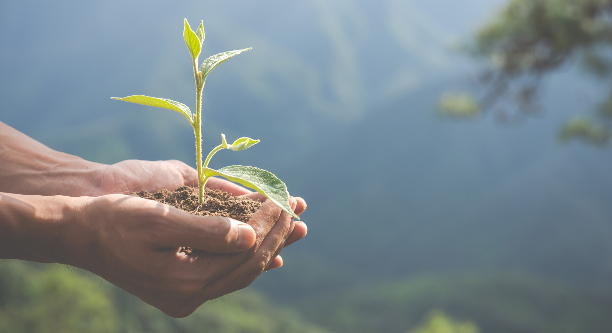 Offre Sérénité Eco Responsable